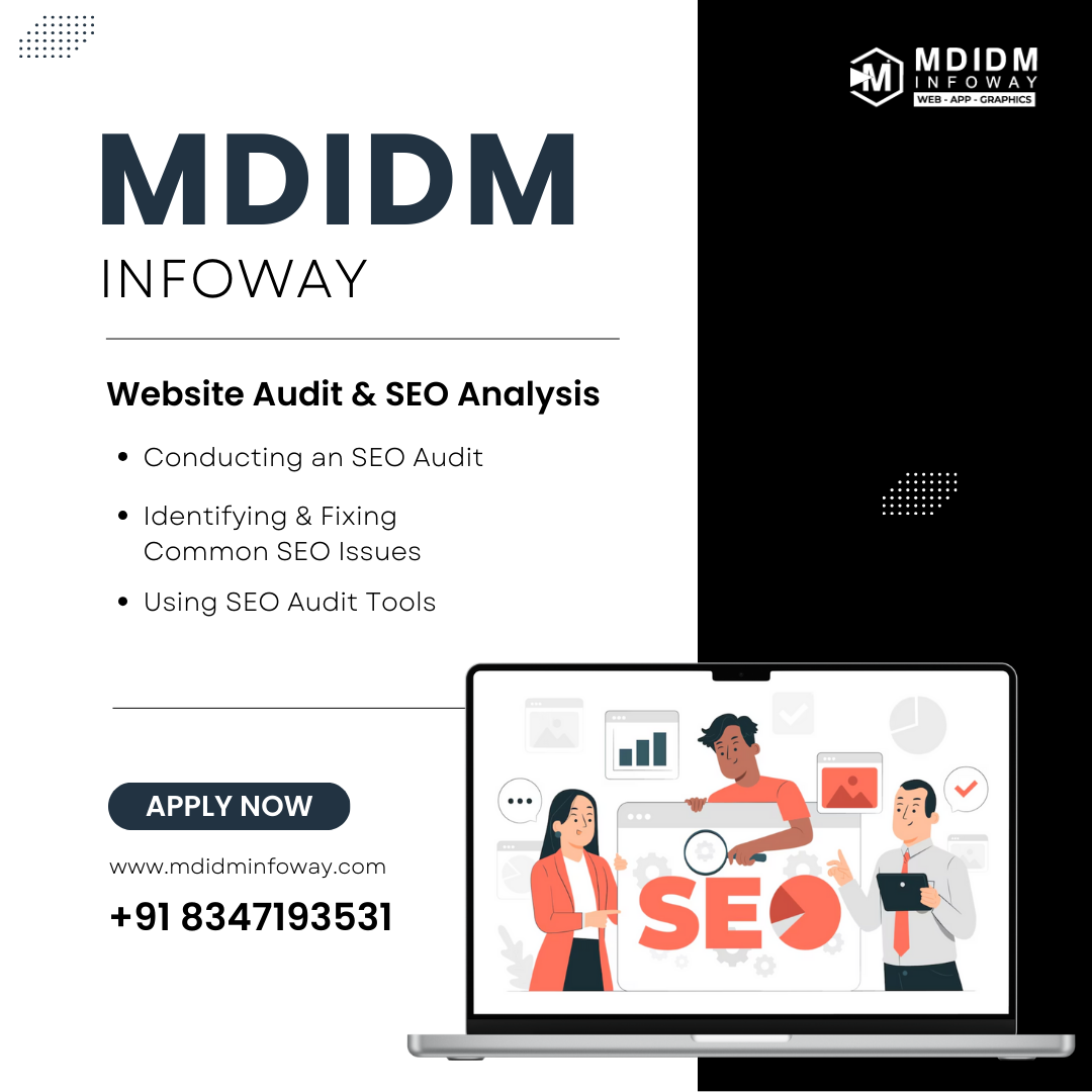 Website Audit SEO Analysis